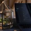 Handcrafted gazebo terrarium with live plants by Wild Roots Gifting – unique indoor green decor in Delhi NCR and Dehradun