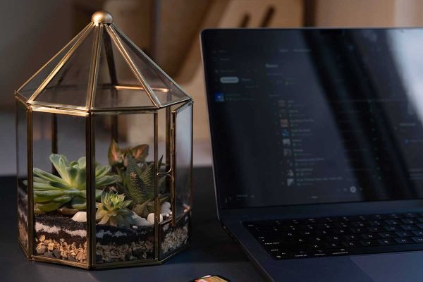 Handcrafted gazebo terrarium with live plants by Wild Roots Gifting – unique indoor green decor in Delhi NCR and Dehradun