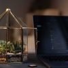 Decorative gazebo-style terrarium with thriving plants by Wild Roots Gifting – handcrafted indoor plant display in Delhi NCR and Dehradun