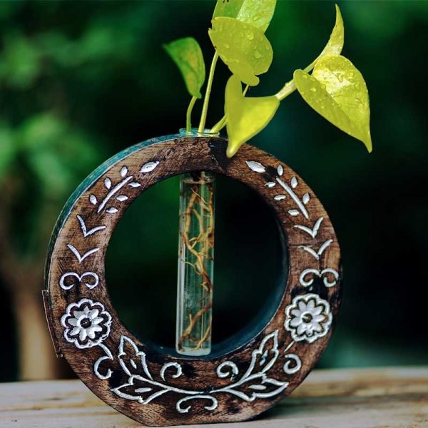 Hand-carved wooden test tube planter with glass vials for plant propagation by Wild Roots Gifting – rustic indoor decor in Delhi NCR and Dehradun