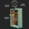 Mango wood frame with kokedama moss ball plant by Wild Roots Gifting – handcrafted botanical wall decor in Delhi NCR and Dehradun