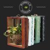 Eco-styled kokedama moss ball mounted in natural mango wood frame by Wild Roots Gifting – green wall decor in Delhi NCR and Dehradun