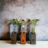 Test tube planter with wooden stand and live plants by Wild Roots Gifting – minimalist indoor green decor for Delhi NCR and Dehradun homes and office