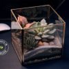 Modern cube terrarium with lush succulents and decorative stones by Wild Roots Gifting – handcrafted indoor plant decor in Delhi NCR and Dehradun
