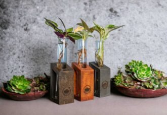 Test tube planter with wooden stand and live plants by Wild Roots Gifting – minimalist indoor green decor for Delhi NCR and Dehradun homes and office