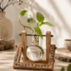 Premium wooden hydro pendulum vase desktop planter with glass hydroponic bulb vase and pothos plant cutting, styled as elegant indoor home and office décor.