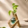 Premium wooden hydro pendulum vase desktop planter with glass hydroponic bulb vase and pothos plant cutting, styled as elegant indoor home and office décor.