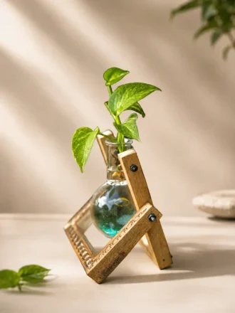 Premium wooden hydro pendulum vase desktop planter with glass hydroponic bulb vase and pothos plant cutting, styled as elegant indoor home and office décor.