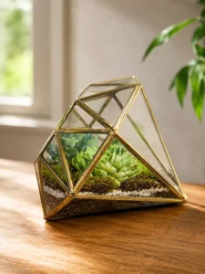 Diamond Terrarium - For Gifting