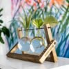 Buy Hydro pendulum vase planter online from gifting.wildroots.in