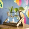 Buy Hydro pendulum vase planter online from gifting.wildroots.in