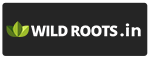 "Wild Roots Gifting logo – trusted indoor plant and terrarium brand in Delhi NCR and Dehradun