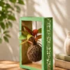 Handcrafted solid wood kokedama moss frame with hand-carved side design and hanging indoor plant for home décor and premium gifting.