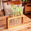 Test tube planter with live plant on handcrafted wooden stand by Wild Roots Gifting – eco-friendly indoor decor in Delhi NCR and Dehradun
