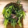 Wall hanging planter with live plants by Wild Roots Gifting – stylish vertical garden decor for homes and offices in Delhi NCR and Dehradun