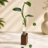 Hydroponic desktop plant holder with mango wood base and glass test tubes for indoor plants and modern office desk décor.