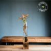 Test tube planter with live plants on handcrafted wooden stand by Wild Roots Gifting – eco-friendly indoor decor in Delhi NCR and Dehradun