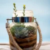 Rope jar terrarium with succulents by Wild Roots Gifting – rustic hanging glass planter for indoor decor in Delhi NCR and Dehradun
