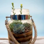 Rope jar terrarium with succulents by Wild Roots Gifting – rustic hanging glass planter for indoor decor in Delhi NCR and Dehradun
