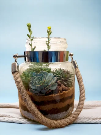 Rope jar terrarium with succulents by Wild Roots Gifting – rustic hanging glass planter for indoor decor in Delhi NCR and Dehradun