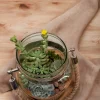 Rope jar terrarium with succulents by Wild Roots Gifting – rustic hanging glass planter for indoor decor in Delhi NCR and Dehradun