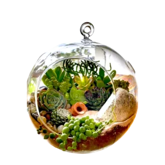 buy hanging globe terrarium online from gifting.wildroots.in