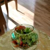 6 inch fish bowl terrarium by wild roots for home decor and gifting
