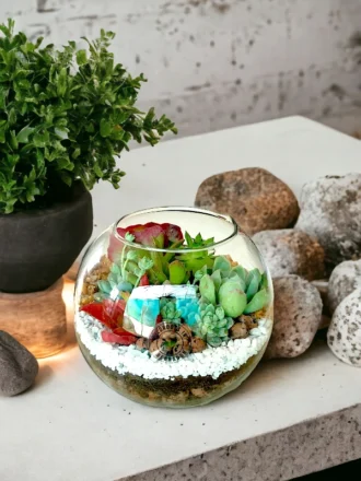 6 inch fish bowl terrarium by wild roots for home decor and gifting (6)