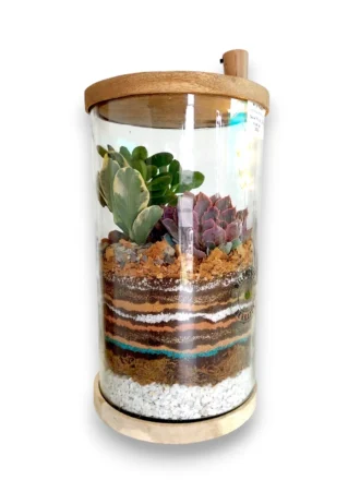 6x10 inch desktop cylindrical terrarium for gifting and home decor