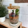 6x10 inch desktop cylindrical terrarium for gifting and home decor
