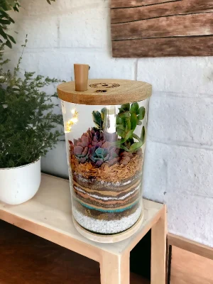 6x10 inch desktop cylindrical terrarium for gifting and home decor