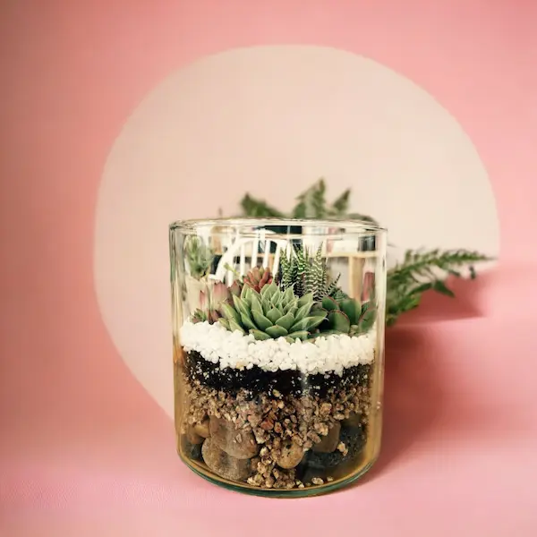 6 inch cylinder glass terrarium with assorted succulents, decorative moss, and natural elements for home décor, office desk decoration, and gifting.
