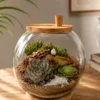 10 inch fishbowl succulent terrarium with real indoor plants in glass bowl, modern tabletop garden for home decor, office desk styling and eco friendly gifting