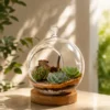 Handcrafted round borosilicate glass terrarium with succulent plants and wooden base plate for home décor, office décor, and premium gifting.