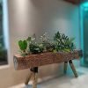 "Discover the rustic charm of Hand Carved Sal Wood Wooden Log Planters. Transform your space with nature's elegance today!"