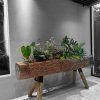 "Discover the rustic charm of Hand Carved Sal Wood Wooden Log Planters. Transform your space with nature's elegance today!"