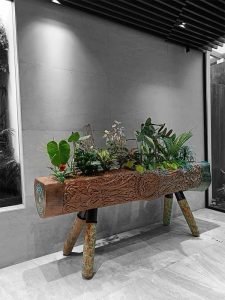 Hand-carved Sal wood log planter as hotel lobby centerpiece
