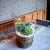 Exquisite 6x8 Inch Glass Terrarium with Exotic Plants in Cylindrical Shape