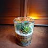 Exquisite 6x8 Inch Glass Terrarium with Exotic Plants in Cylindrical Shape