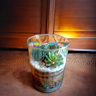 Exquisite 6x8 Inch Glass Terrarium with Exotic Plants in Cylindrical Shape