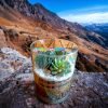 Exquisite 6x8 Inch Glass Terrarium with Exotic Plants in Cylindrical Shape