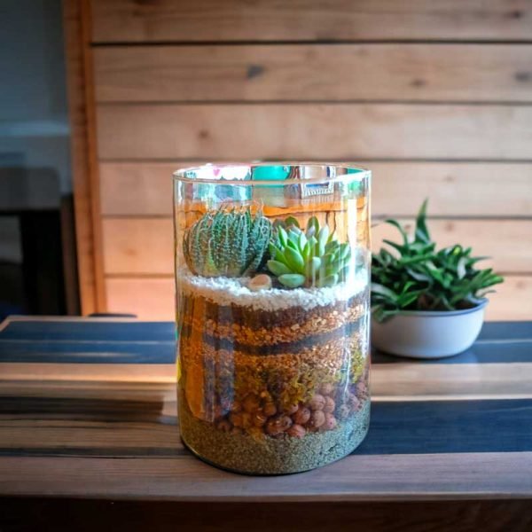 Exquisite 6x8 Inch Glass Terrarium with Exotic Plants in Cylindrical Shape