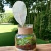 Jar Shaped Terrarium with Succulents for Home and Office Decor
