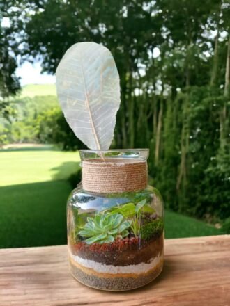 Jar Shaped Terrarium with Succulents for Home and Office Decor