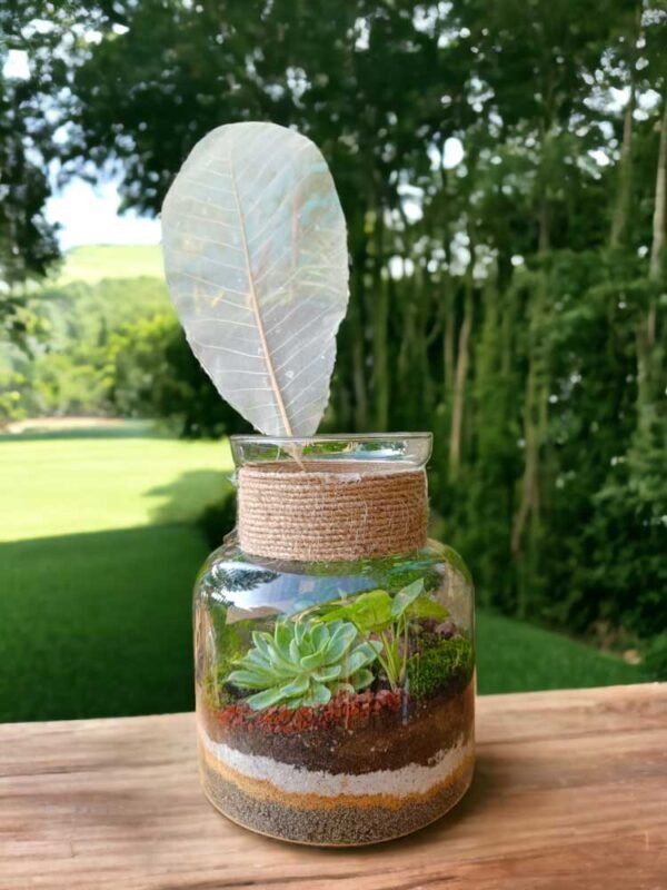 Jar Shaped Terrarium with Succulents for Home and Office Decor