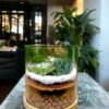 Cylindrical Glass Terrarium - 6x6 Inches