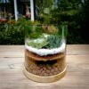 Cylindrical Glass Terrarium - 6x6 Inches