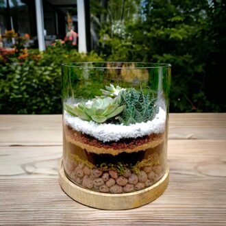 Cylindrical Glass Terrarium - 6x6 Inches