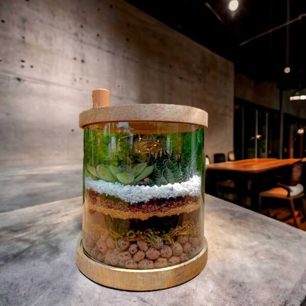 Cylindrical Glass Terrarium - 6x6 Inches