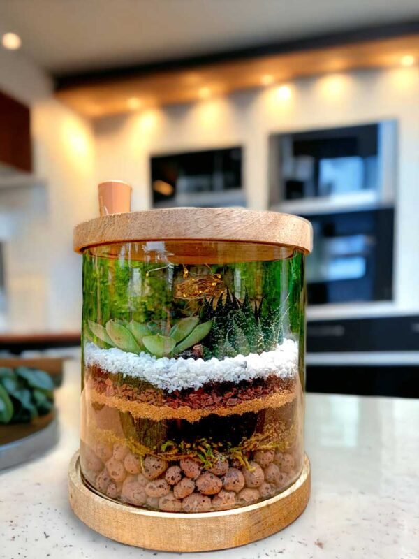 Cylindrical Glass Terrarium - 6x6 Inches